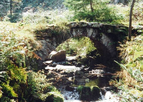 La randonn�e pour la d�couverte d