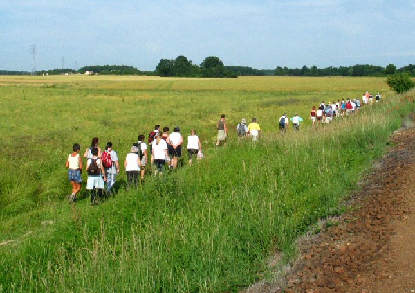Le groupe RVM dans l
