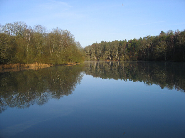 Soleil et eau en for�t de Rambouillet