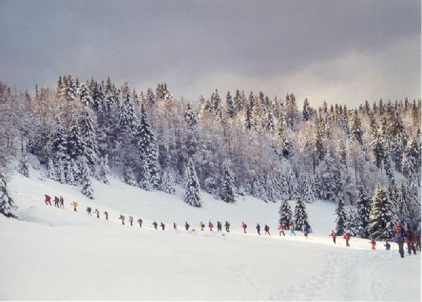 Randonn�e raquettes au mont Revard, la F�claz