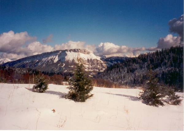 Randonn�e raquettes au mont Revard, la F�claz