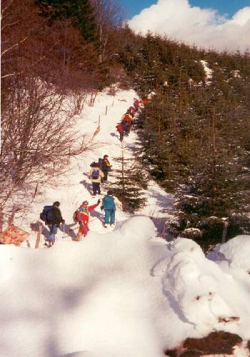 Randonn�e raquettes au mont Revard, la F�claz