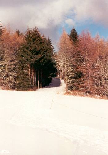 Randonn�e raquettes au mont Revard, la F�claz