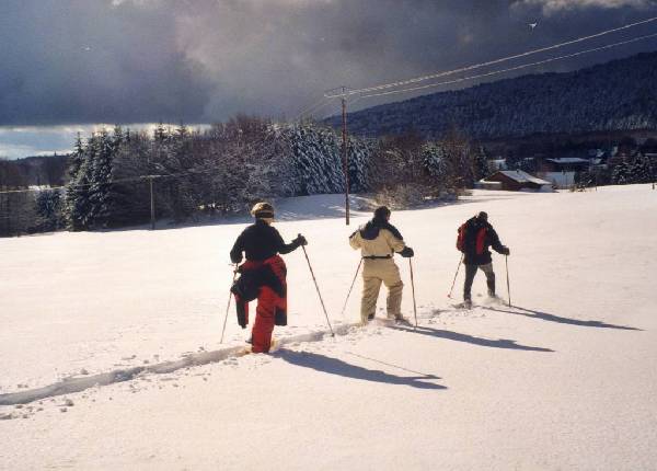 Randonn�e raquettes au plateau des Gli�res