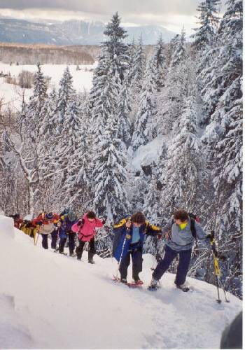 Randonn�e raquettes au mont Revard